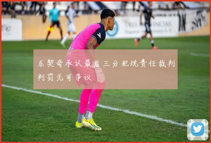 东契奇承认最后三分犯规责任裁判判罚无可争议