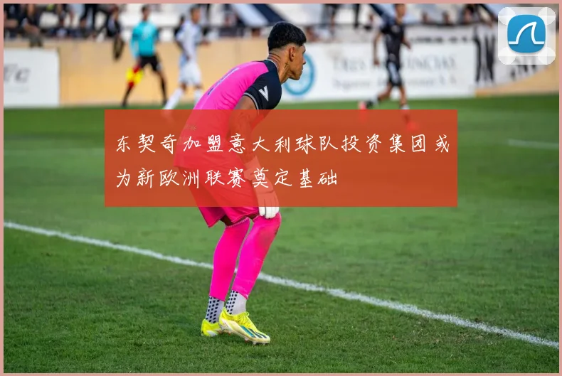 东契奇加盟意大利球队投资集团或为新欧洲联赛奠定基础