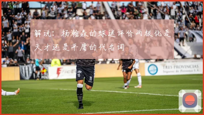 解说：杨瀚森的球迷评价两极化是天才还是平庸的代名词
