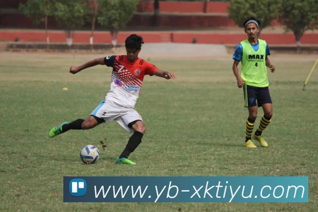 App Interface Preview