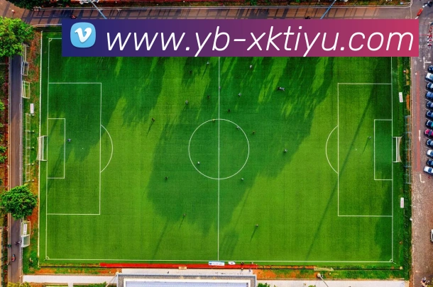 星空体育APP 封面图